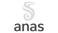 logo anas